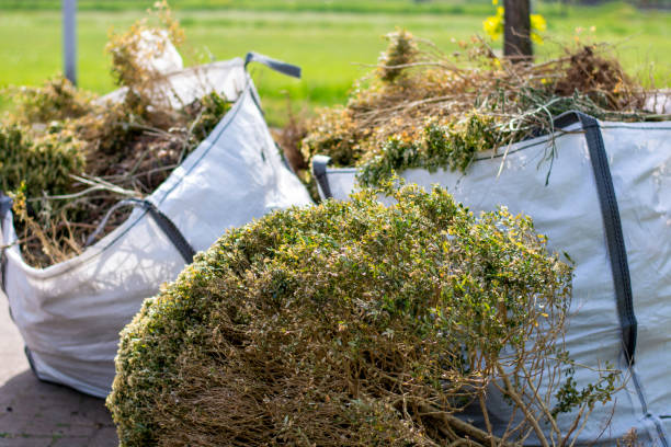 Professional Junk Removal in Mililani Mauka, HI